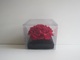 [PIV-0716] Caja cuadrada trasnparente extra large rosas eternas rojo 10x12